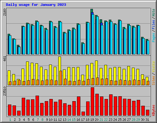 Daily usage for January 2023