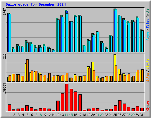 Daily usage for December 2024