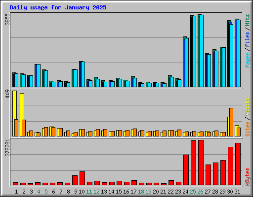 Daily usage for January 2025