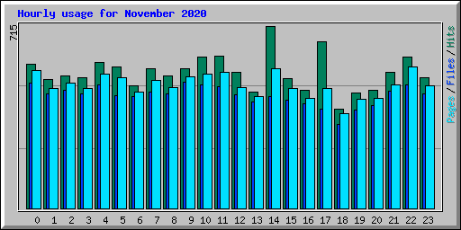 Hourly usage for November 2020