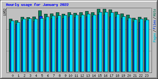 Hourly usage for January 2022