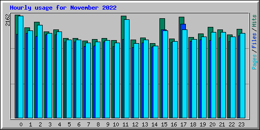 Hourly usage for November 2022