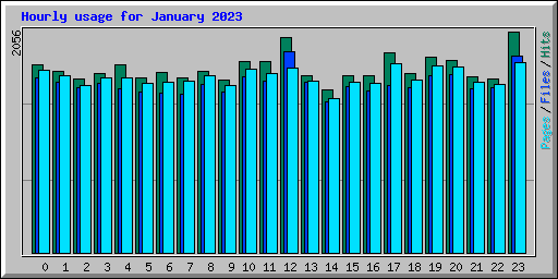 Hourly usage for January 2023