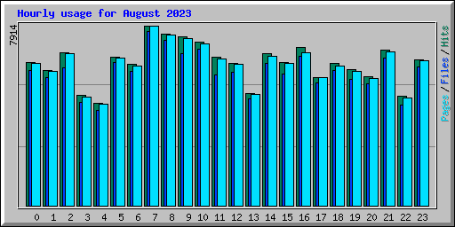 Hourly usage for August 2023