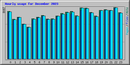 Hourly usage for December 2023