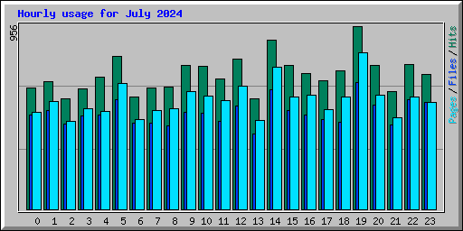 Hourly usage for July 2024