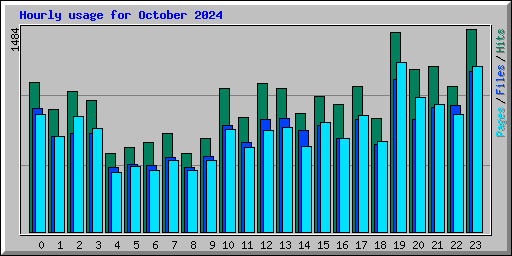 Hourly usage for October 2024