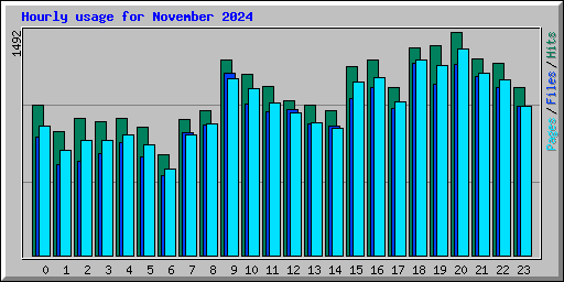 Hourly usage for November 2024