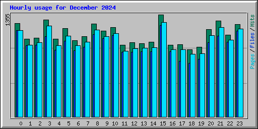 Hourly usage for December 2024