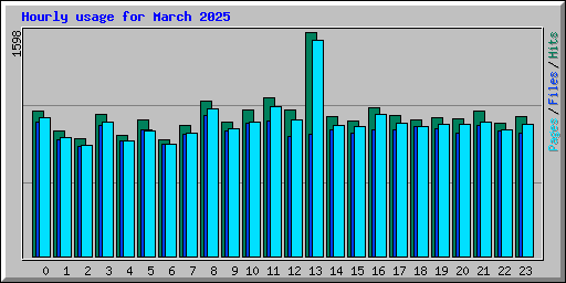 Hourly usage for March 2025