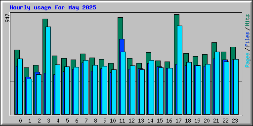 Hourly usage for May 2025