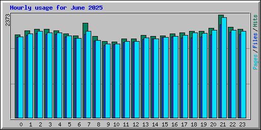 Hourly usage for June 2025