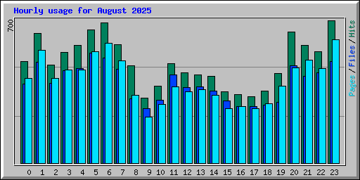 Hourly usage for August 2025