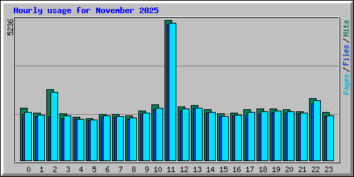 Hourly usage for November 2025
