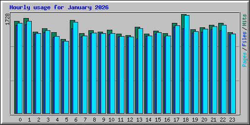 Hourly usage for January 2026