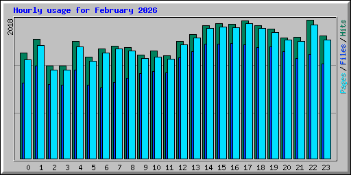 Hourly usage for February 2026